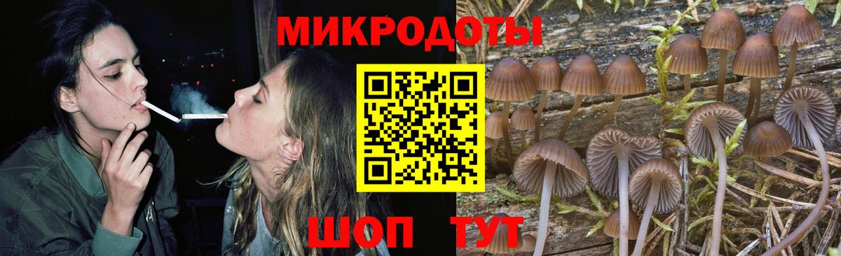 где найти   Псилоцибиновые грибы Psilocybe  Алексеевка  Вход с VPN  Галлюциногенные грибы Magic Shrooms 